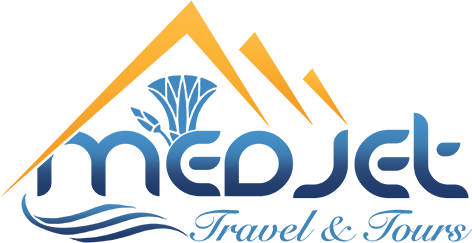 Medjet Travel Logo