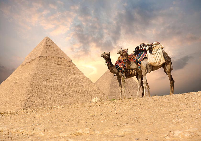 Medjet Travel Showing Egypt from a different perspective Medjet Travel Logo
