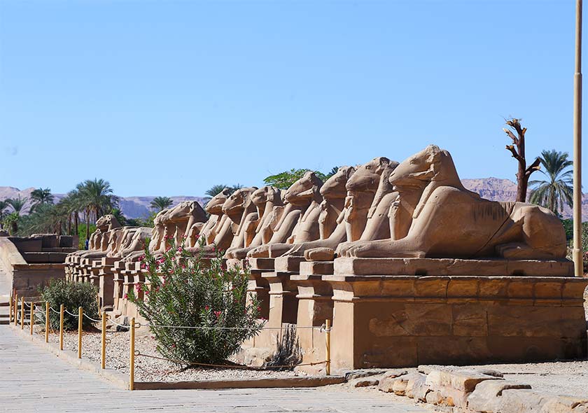 Egypt - Medjet Travel - Luxor